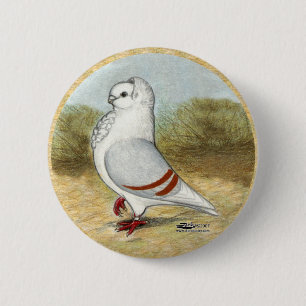 Old German Owl Pigeon In the Round 6 Cm Round Badge