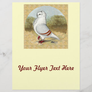 Old German Owl Pigeon In the Round Flyer