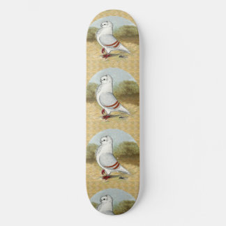 Old German Owl Pigeon In the Round Skateboard