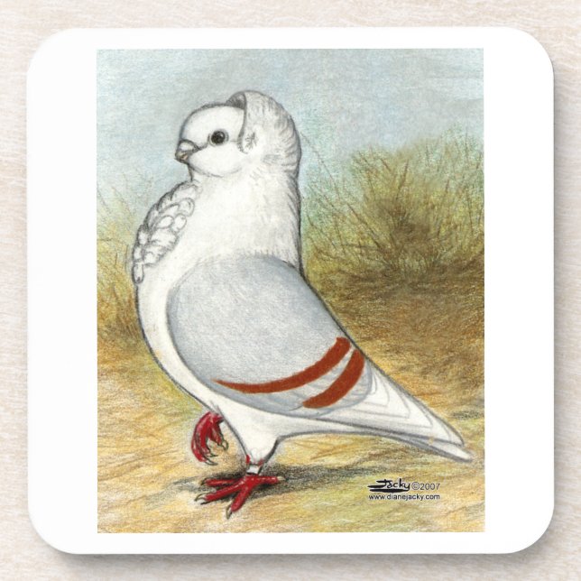 Old German Owl Pigeon Standing Tall Coaster (Front)