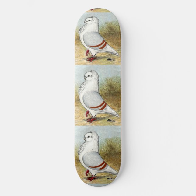 Old German Owl Pigeon Standing Tall Skateboard (Front)