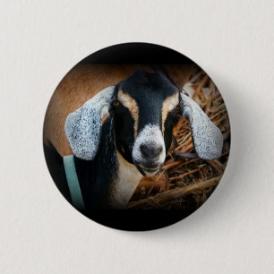 Old Goat Nubian Portrait Photo 6 Cm Round Badge