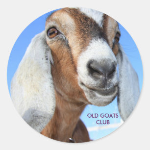 Old Goats Club Sticker