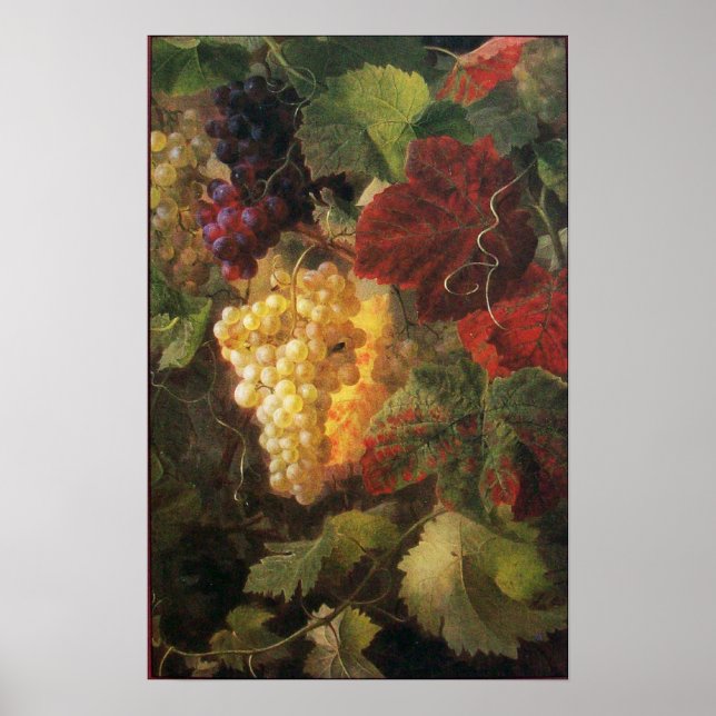 OLD GRAPE VINEYARD  WINE TASTING PARTY POSTER (Front)