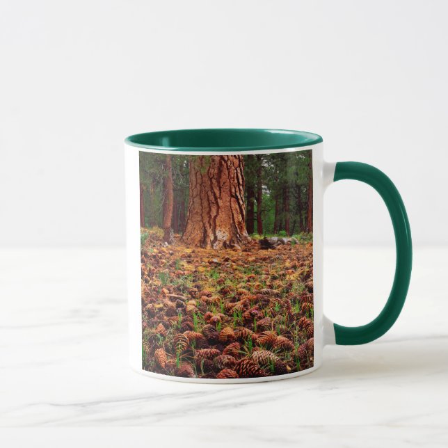 Old-growth Ponderosa tree with pine cones Mug (Right)