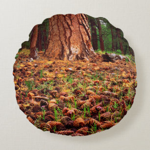 Old-growth Ponderosa tree with pine cones Round Cushion