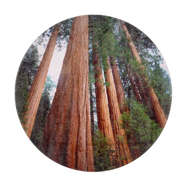 Old-growth Sequoia Redwood trees Cutting Board (Front)