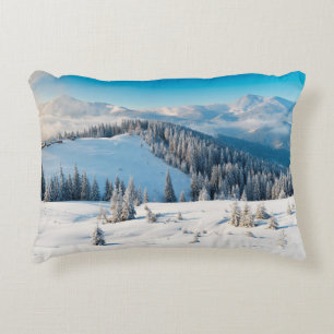 Old grunge wooden texture or background with termi decorative cushion