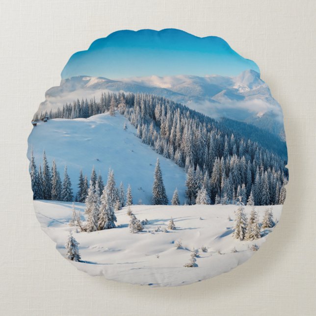 Old grunge wooden texture or background with termi round cushion (Front)