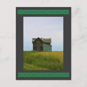 Old Homestead Saskatchewan Photograph Postcard