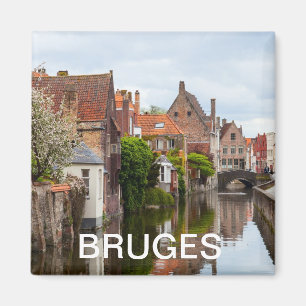 Old houses in Bruges, Belgium Magnet