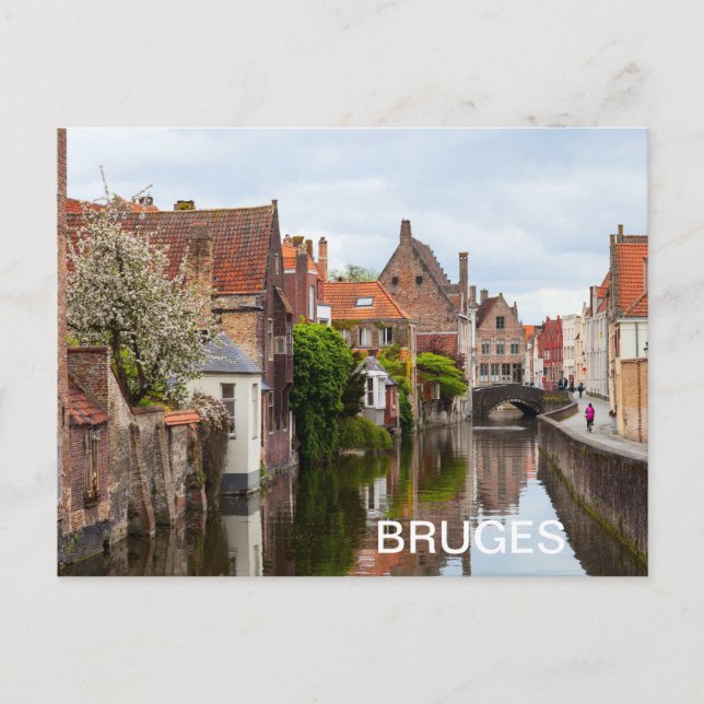 Old houses in Bruges, Belgium Postcard (Front)
