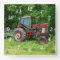 Old International Tractor
