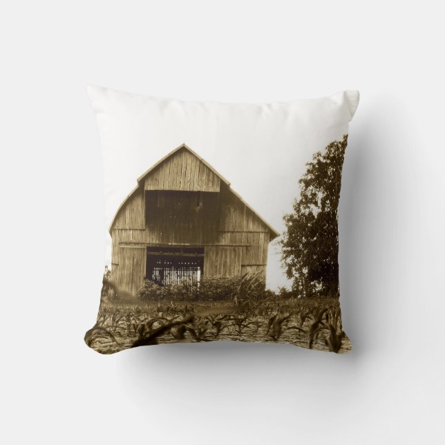 Old Kentucky Barn Cushion (Front)