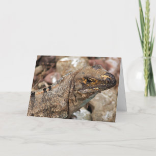 Old Lizard Birthday Card