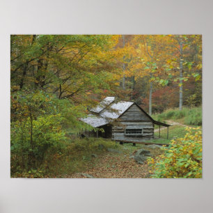 Old Log Cabin Poster