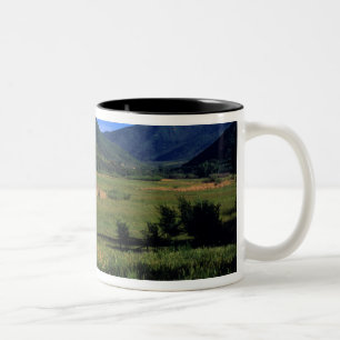 Old log homestead near Park City, Utah. (P.R.) Two-Tone Coffee Mug