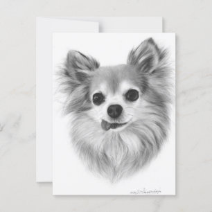 Old Long Haired Chihuahua Hand Painted Artwork Postcard