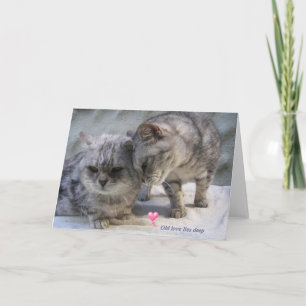 old love lies deep.....cat greeting card