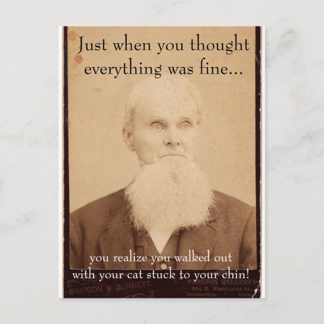 Old Man Bad Hair Day Postcard (Front)