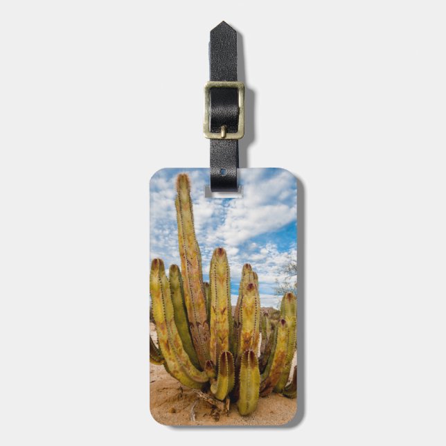 Old Man Cactus portrait, Mexico Luggage Tag (Front Vertical)