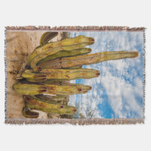 Old Man Cactus portrait, Mexico Throw Blanket