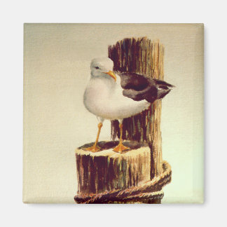 OLD MAN SEAGULL by SHARON SHARPE Magnet