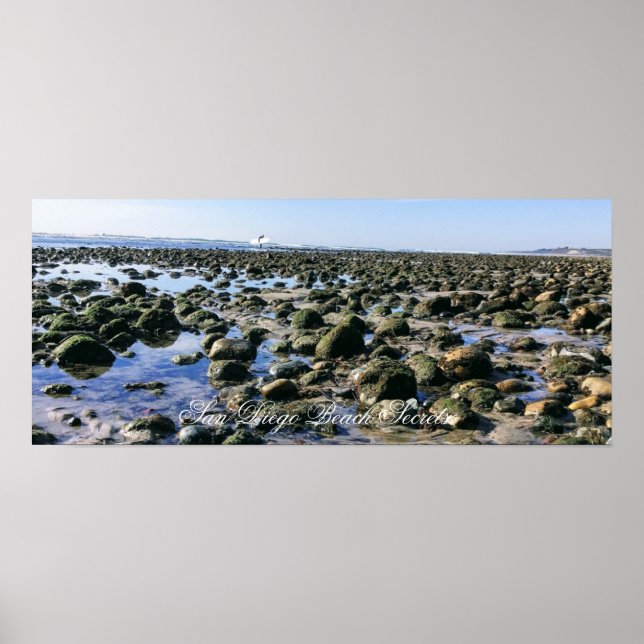 Old Man's Beach- San Onofre State Beach Poster (Front)