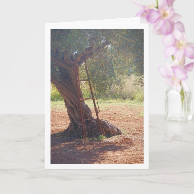 Old Metal Ladder against Olive Tree Card (Orchid)