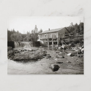 Old Mill in the Adirondacks, 1903 Postcard