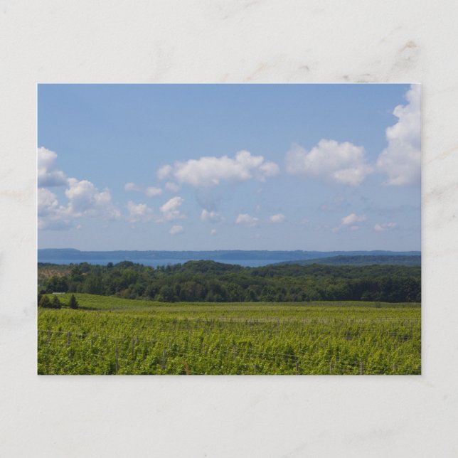 Old Mission Peninsula, Michigan Postcard (Front)