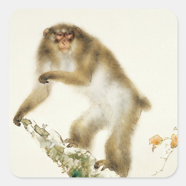 Old Monkey with Cherry in Autumn Square Sticker (Front)
