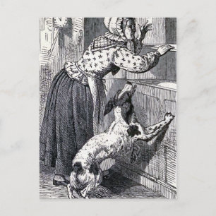 "Old Mother Hubbard" Vintage Illustration Postcard