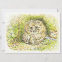 Old Mr Prickly Pin (Hedgehog) (by Beatrix Potter)