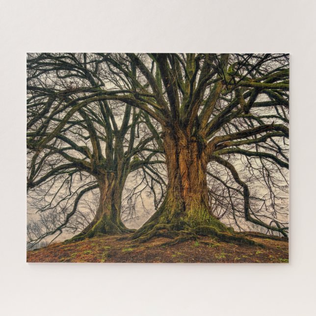Old Oak Tree in Winter Jigsaw Puzzle (Horizontal)