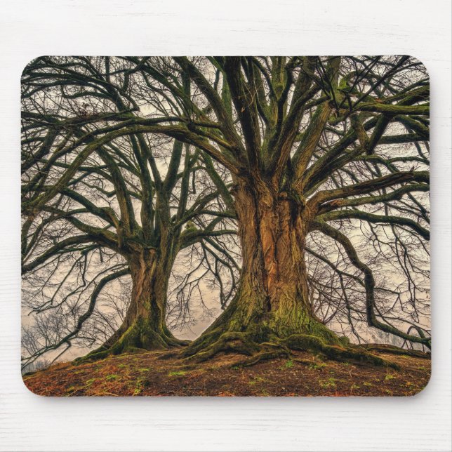 Old Oak Tree in Winter Mouse Pad (Front)