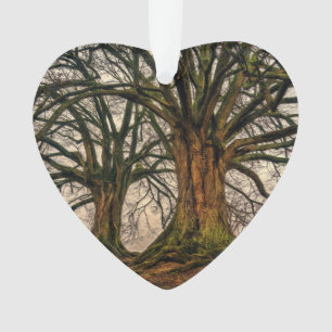 Old Oak Tree in Winter Ornament