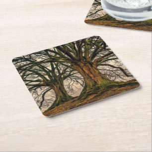 Old Oak Tree in Winter Square Paper Coaster