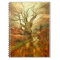 Old Oak Tree .......