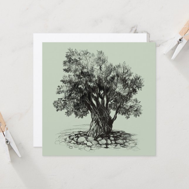 Old olive tree (Front/Back In Situ)