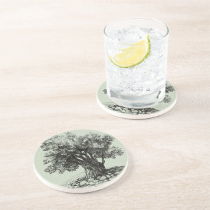 Old olive tree coaster