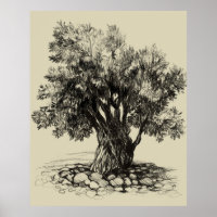 Old olive tree poster