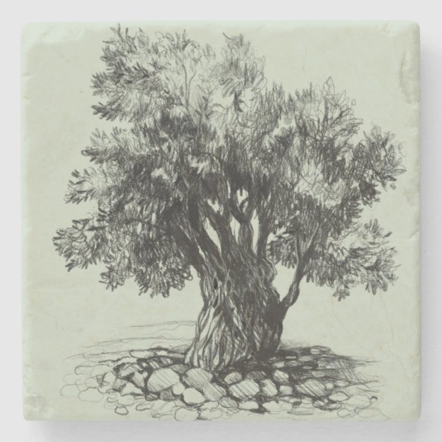 Old olive tree stone coaster (Front)