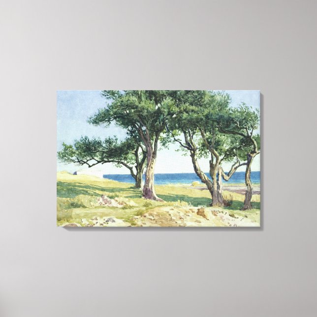 Old Olive Trees, Bordighera Canvas Print (Front)