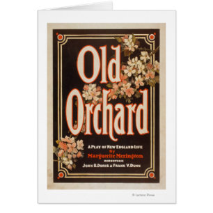 Old Orchard a Play of New England Life Poster