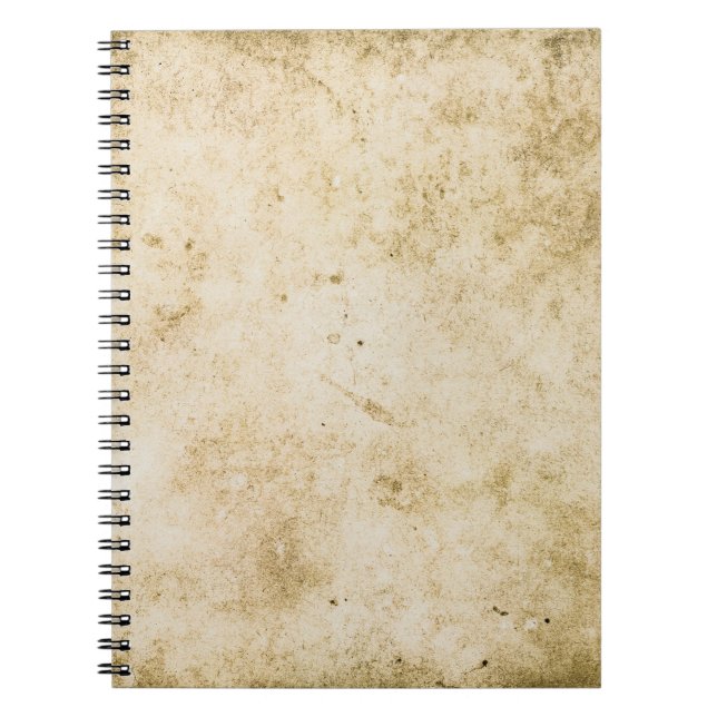 old papertexture,abstract,aged,ancient,art,backgro notebook (Front)