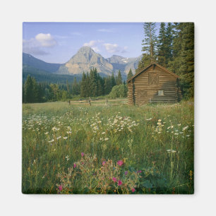 Old Park Service cabin in the Cut Bank Valley Magnet