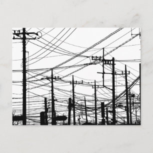 Old Phone and Power Lines Postcard