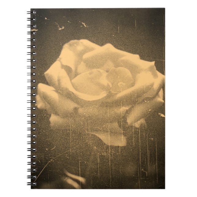 Old Photo Beautiful Pink Rose Close-up Notebook (Front)