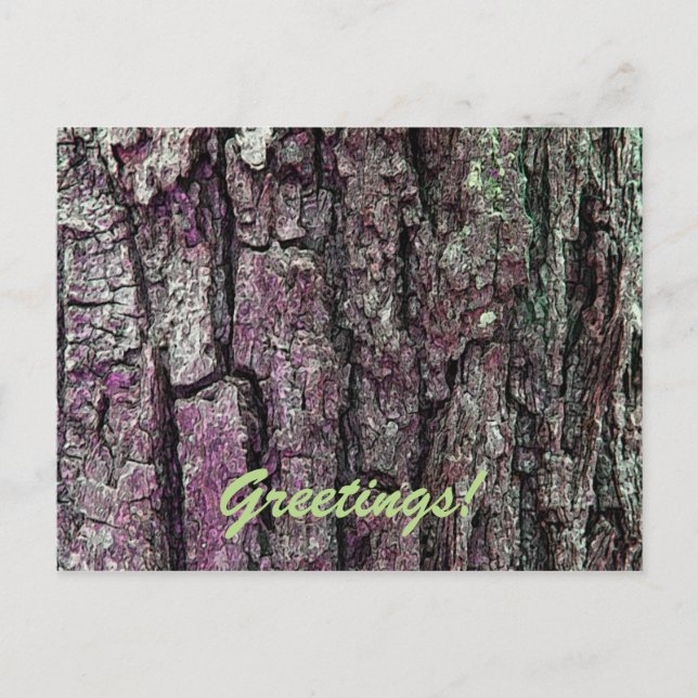 Old Pine Bark with Text Greetings Postcard (Front)